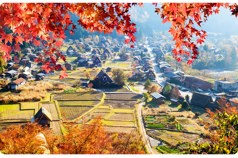 Hida Takayama & Shirakawa-go Gassho Village Day Trip (Departing from Nagoya, optional observatory tour included) - Who will enjoy this day trip most