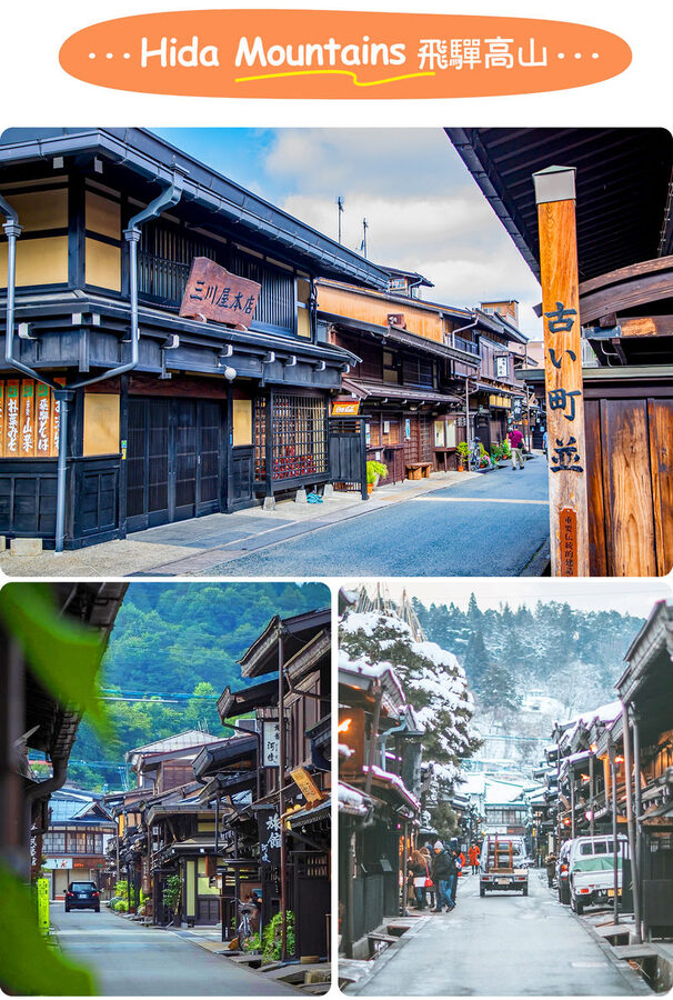 Hida Takayama & Shirakawa-go Gassho Village Day Trip (Departing from Nagoya, optional observatory tour included) - The observatory question: check your departure option