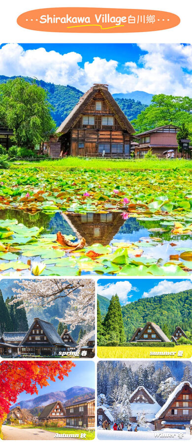 Hida Takayama & Shirakawa-go Gassho Village Day Trip (Departing from Nagoya, optional observatory tour included) - Guides and group transport: useful support, with a shared-tour feel