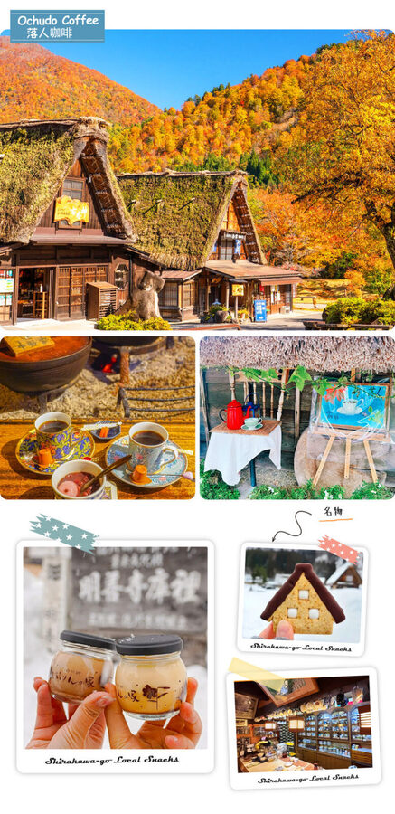 Hida Takayama & Shirakawa-go Gassho Village Day Trip (Departing from Nagoya, optional observatory tour included) - Price and value: good for convenience, not depth