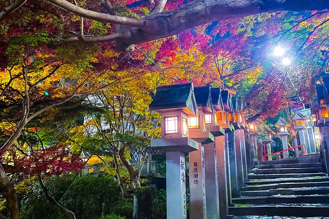 Hidden Gems of Osaka Kyoto Nara - Private Car Tour by Local Guide - Why this half-day route feels different