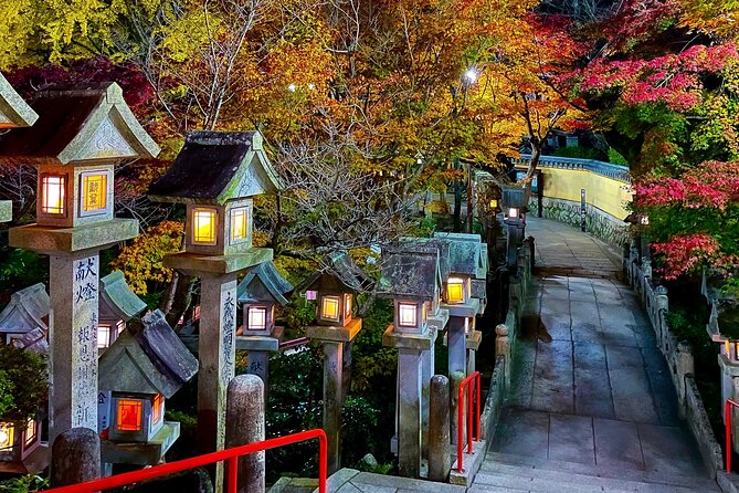 Hidden Gems of Osaka Kyoto Nara - Private Car Tour by Local Guide - Daiki’s role in making the day work