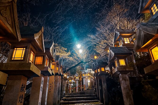 Hidden Gems of Osaka Kyoto Nara - Private Car Tour by Local Guide - Who will enjoy this Osaka area tour most