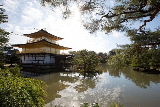 Hidden Kyoto E-Biking tour - Daitokuji and a calmer temple setting