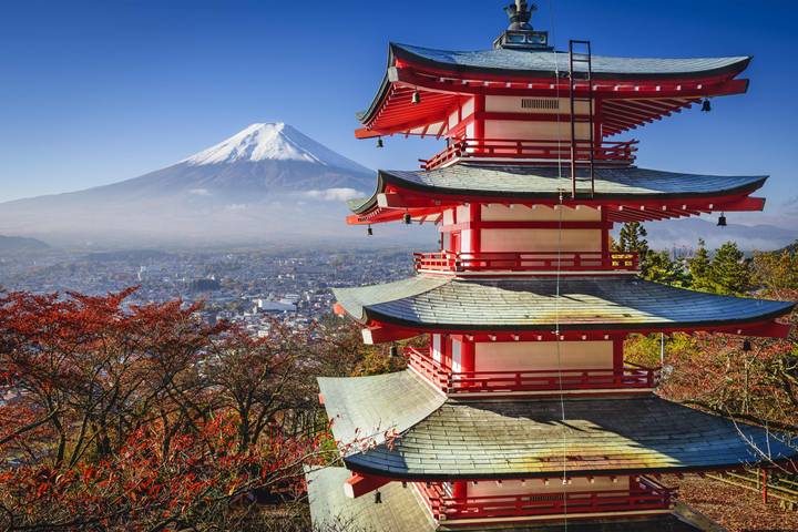 Highlights of Central Japan by SKR Reisen - 13-Day Tokyo to Osaka Tour Review - Who should book this tour?