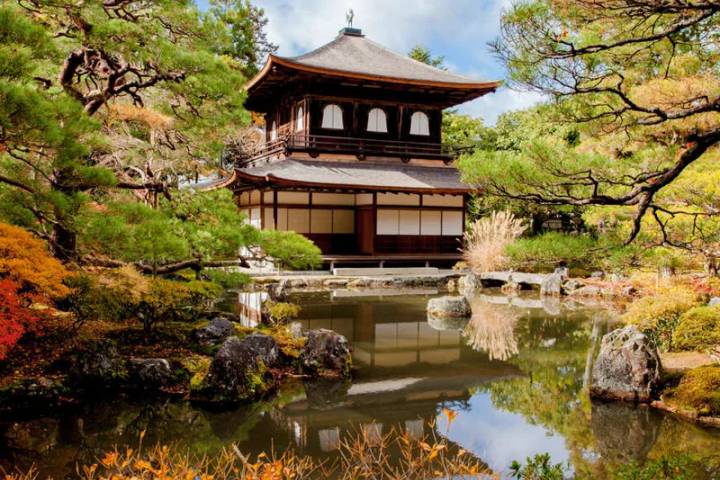 Highlights of Japan by Explore! - 8-Day Tokyo to Kyoto Tour Review - Osaka: covered arcades and a first taste of local specialties
