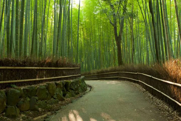 Highlights of Japan by Explore! - 8-Day Tokyo to Kyoto Tour Review - Hotels, trains and what the price covers