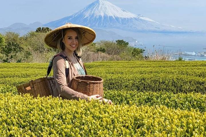 Highlights of Japan by Travel Chasers - 13-Day Tour from Tokyo Review - A fast, rewarding cross-section of Japan