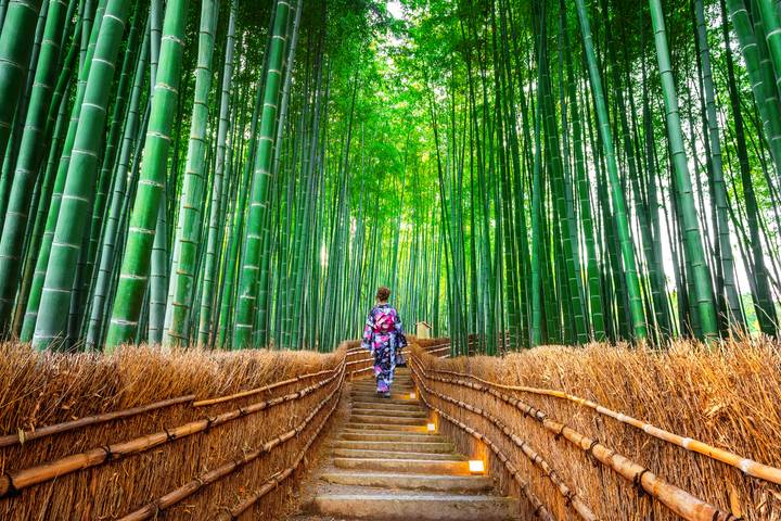 Highlights of Japan by Travel Chasers - 13-Day Tour from Tokyo Review - Tokyo sets the pace