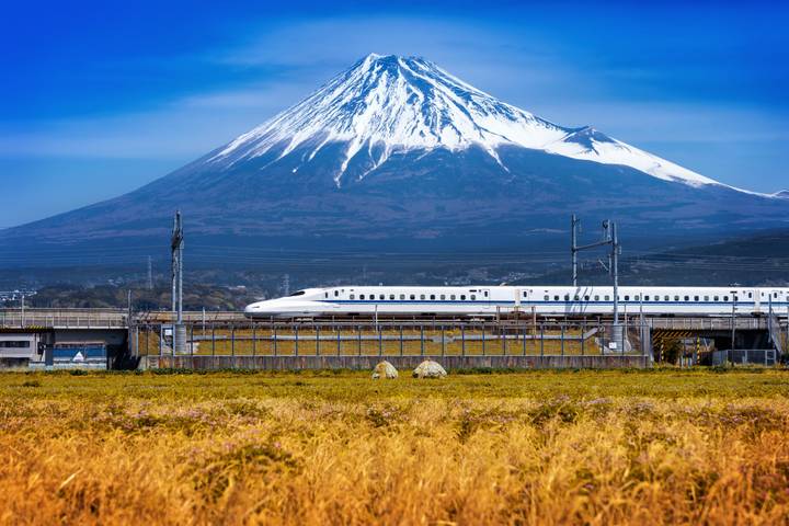 Highlights of Japan by Travel Chasers - 13-Day Tour from Tokyo Review - Kyoto’s temples, gates and bamboo paths