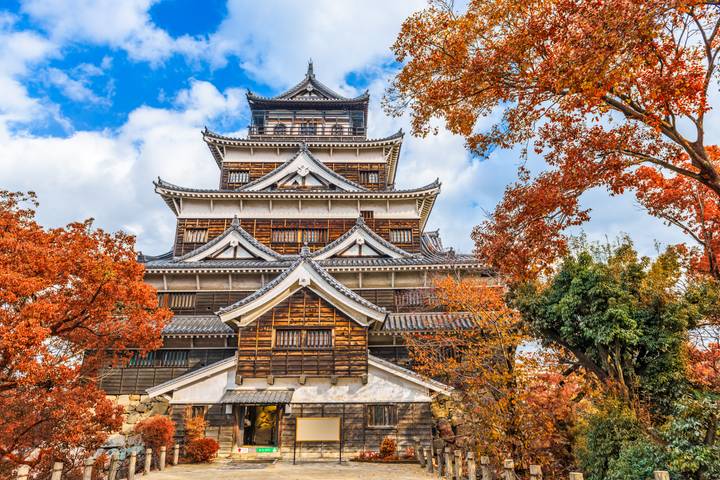 Highlights of Japan by Travel Chasers - 13-Day Tour from Tokyo Review - From Kamakura and Hakone to a tea farm