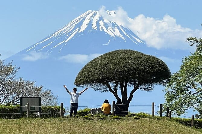 Hike Hakone Hachiri - The 400-year-old Cedar Avenue