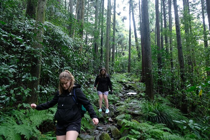 Hike Japan Heritage Hakone Hachiri (Half Day) - Key points at a glance