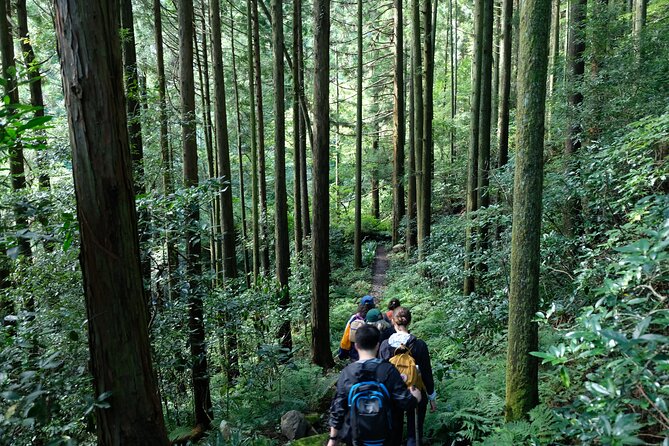 Hike Japan Heritage Hakone Hachiri (Half Day) - Amasake at a 400-year-old tea house