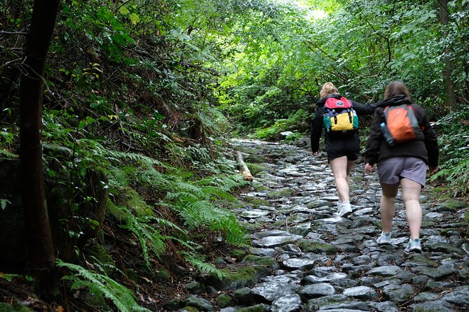 Hike Japan Heritage Hakone Hachiri (Half Day) - Hakone Checkpoint and the road’s political story