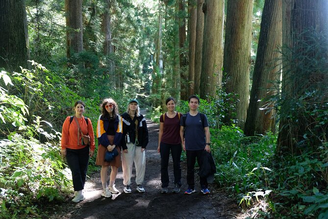 Hike Japan Heritage Hakone Hachiri (Half Day) - What $114.95 buys you