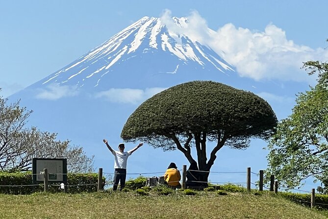 Hike Japan Heritage Hakone Hachiri with certified mountain guide - Key Things to Know Before You Go