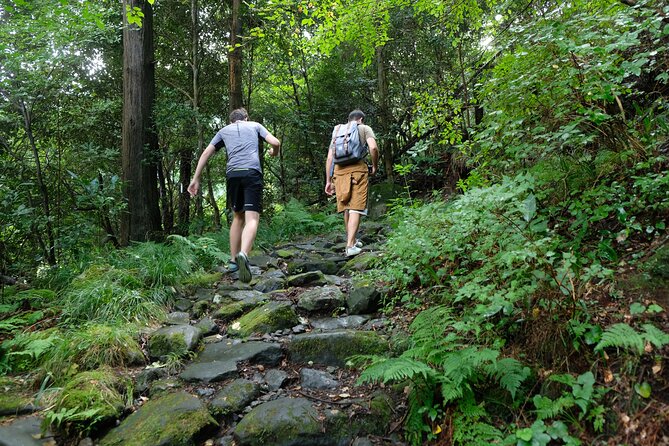Hike Japan Heritage Hakone Hachiri with certified mountain guide - The Bus Connection and Yamanaka Castle Ruins