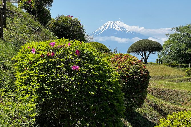 Hike Japan Heritage Hakone Hachiri with certified mountain guide - A Small Group Makes the Guide Matter
