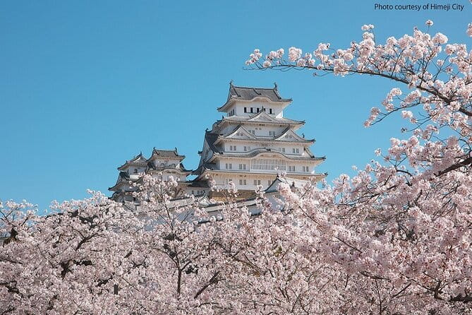 Himeji Castle and Akashi Kaikyo Bridge Walking Tour from Kyoto - Who will get the most from this tour?