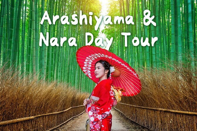 Himeji Castle and Akashi Kaikyo Bridge Walking Tour from Osaka - From Himeji to Maiko by local train