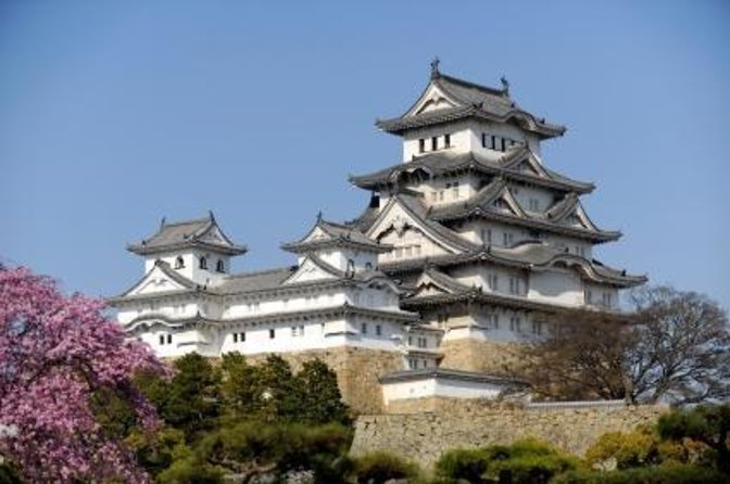 Himeji Half-Day Private Tour with Government-Licensed Guide - Key things to know before booking