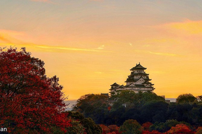 Himeji Half-Day Private Tour with Government-Licensed Guide - Himeji Castle and Koko-en: the strongest four-hour pairing