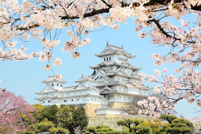 Himeji Half-Day Private Tour with Government-Licensed Guide - Walking, weather, and timing concerns