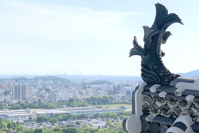 Himeji Half-Day Private Tour with Government-Licensed Guide - Which guide style may suit you