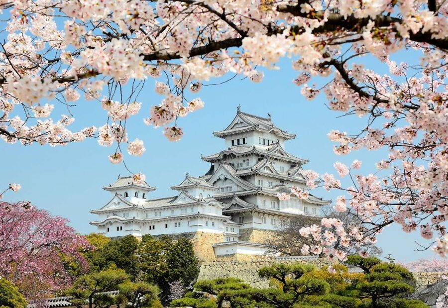 Himeji: Private Customized Tour with Licensed Guide - Why a private guide helps at Himeji Castle