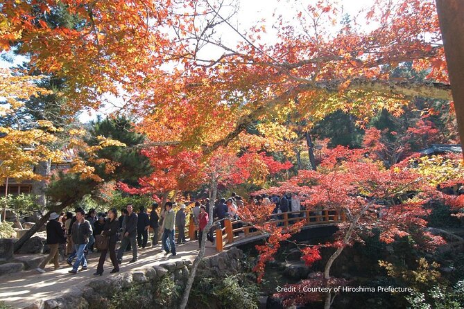Hiroshima and Miyajima 1 Day Bus Tour - Bus comfort, timing, and group size