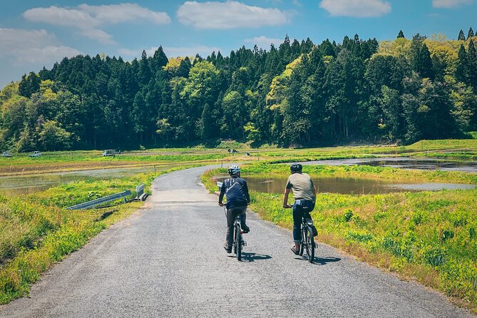 Hiroshima Country Cycling: Explore Rural Life 1 HR from City - Four details that shape the day