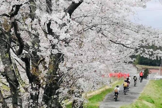 Hiroshima Country Cycling: Explore Rural Life 1 HR from City - Aino Sato Herb Garden: lunch with local produce