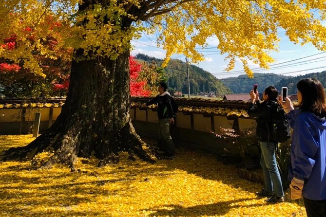 Hiroshima Country Cycling: Explore Rural Life 1 HR from City - Price, extra costs, and overall value