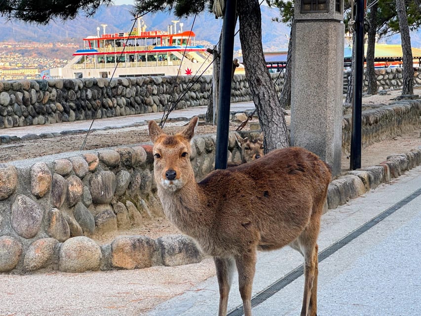 Hiroshima: Hiroshima and Miyajima UNESCO Sites 1-Day Tour - Bus and ferry to Miyajima Island