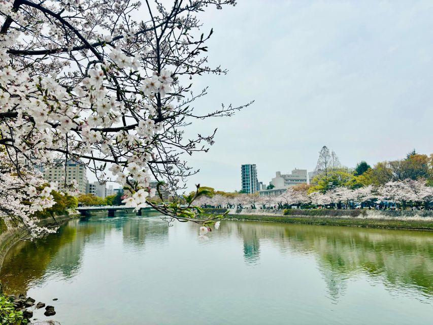 Hiroshima: History of Hiroshima Group Walking Tour - The Atomic Bomb Dome at the End of the Route