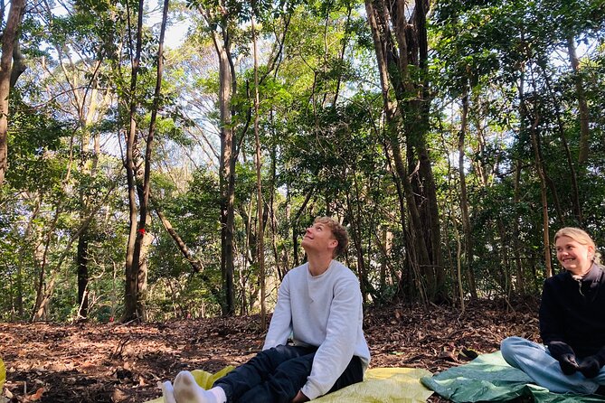 Hiroshima Local guided Hiking Tour&Open-air Tea Ceremony - Futabayama Peace Pagoda and the Hiroshima view