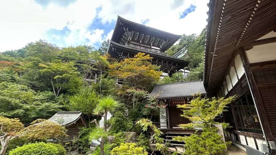 Hiroshima & Miyajima 6.5h Guided Tour – Dome, Park & Shrine - Returning to Hiroshima and the Atomic Bomb Dome
