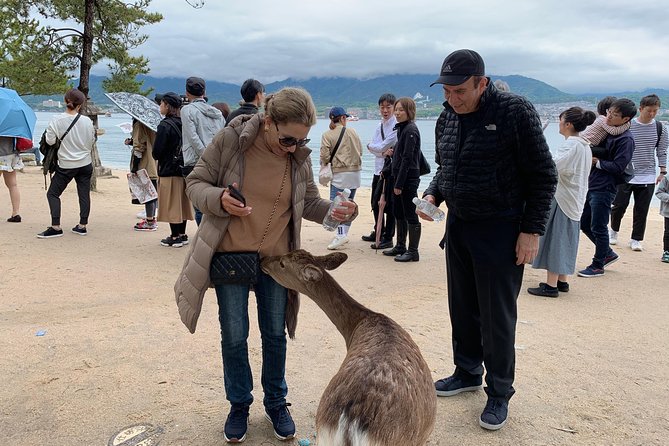 Hiroshima / Miyajima Full-day Private Tour with Government Licensed Guide - Itsukushima Shrine: Miyajima’s essential stop