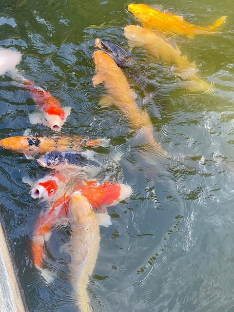 Hiroshima & Miyajima: UNESCO A-Bomb Dome & Itsukushima - Miyajima lunch means local food, not a fixed menu