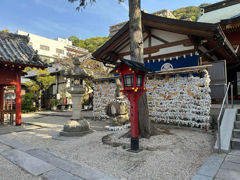 Hiroshima: Morning Hiking Tour with Open-air Tea Ceremony - The guides shape the morning