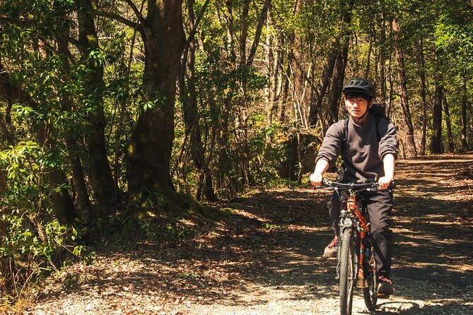 Hiroshima Private Walking Tour with a Local - Who will get the most from this experience?