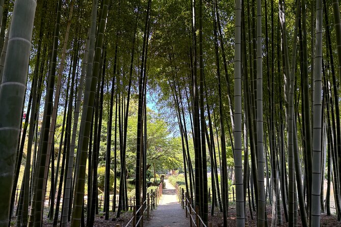Hiroshima’s Heart: A 4-Hour Private Storytelling Walk - A Guide Who Adjusts to Your Group