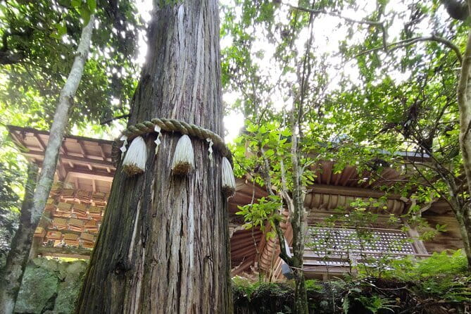 Hiroshima Scenic Cycling Guided Tour - Starting at Lucky Bakery at 10 a.m.