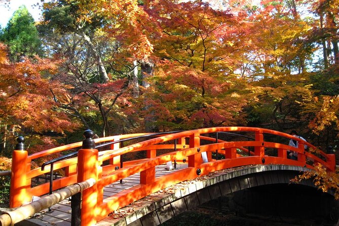Historical Kyoto E-Bike Tour - What the guides add to the day