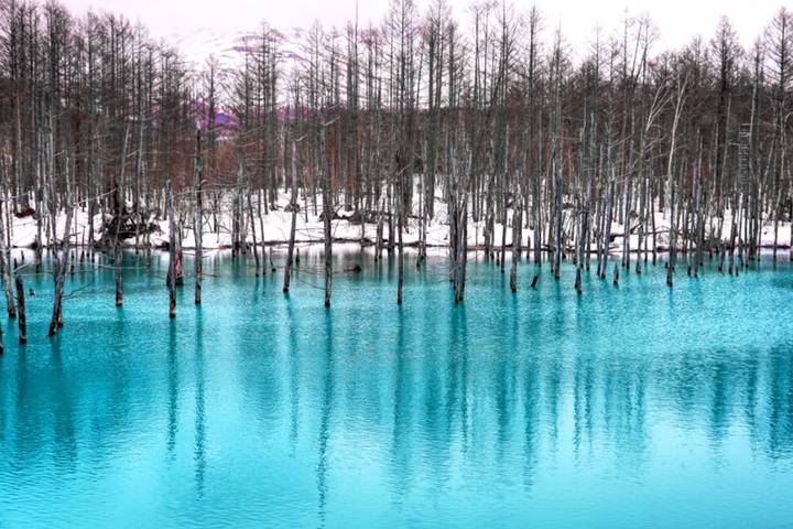 Hokkaido 7 Days Noboribetsu, Asahikawa, Biei by Delightful Travel Review - What the price includes, and what to check
