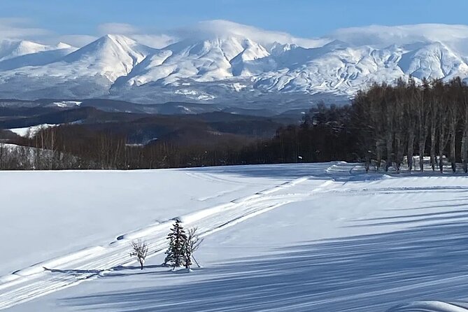 Hokkaido Asahiyama Zoo Ningle Terrace Day trip - The long winter drive and group experience