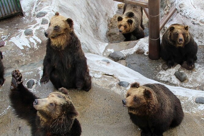 Hokkaido: Lake Toya, Bear Ranch and Sapporo Otaru Full Day Tour - Otaru: red-brick warehouses and a short free period