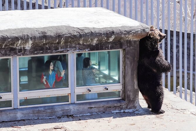 Hokkaido: Lake Toya, Bear Ranch and Sapporo Otaru Full Day Tour - Who will enjoy this Hokkaido day trip?