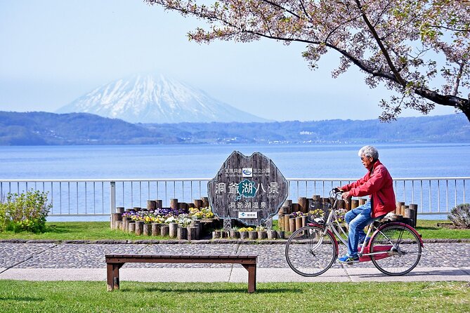 Hokkaido: Lake Toya, Bear Ranch and Sapporo Otaru Full Day Tour - Bear Ranch: a close look at Hokkaido’s native brown bears